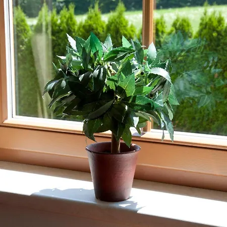 Bergland Hotel apartamentowy 4*