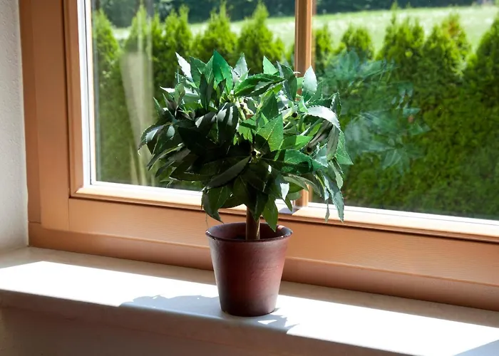 Bergland Apartmanhotel 4*